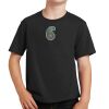 Youth Fan Favorite Tee Thumbnail