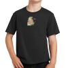 Youth Fan Favorite Tee Thumbnail