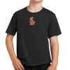Youth Fan Favorite Tee Thumbnail