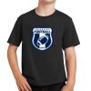 Youth Fan Favorite Tee Thumbnail